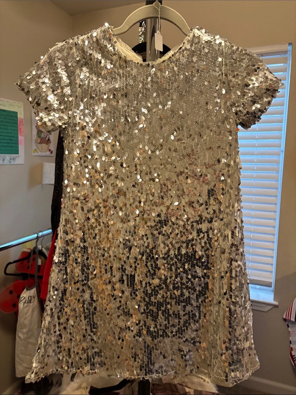 Sparkling Silver Sequin Girls Dress